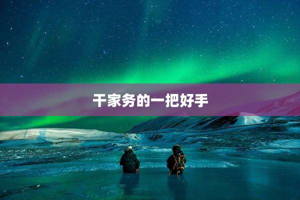干家务的一把好手
