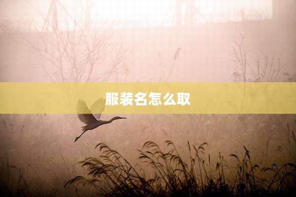 服装名怎么取