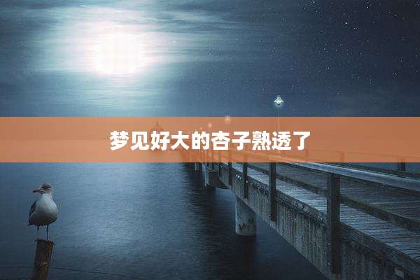 梦见好大的杏子熟透了