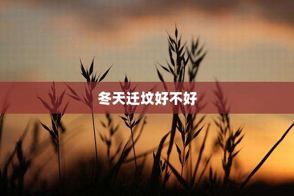 冬天迁坟好不好