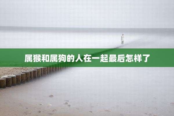 属猴和属狗的人在一起最后怎样了