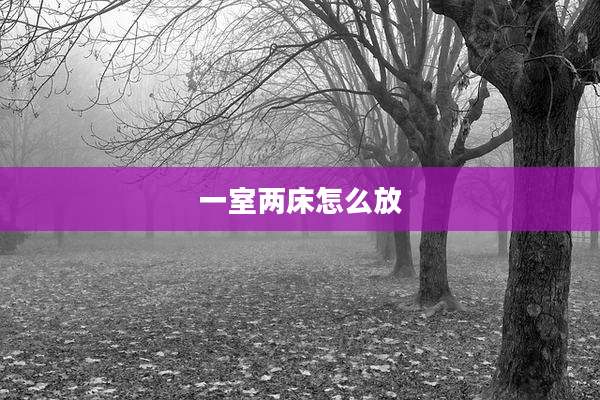 一室两床怎么放