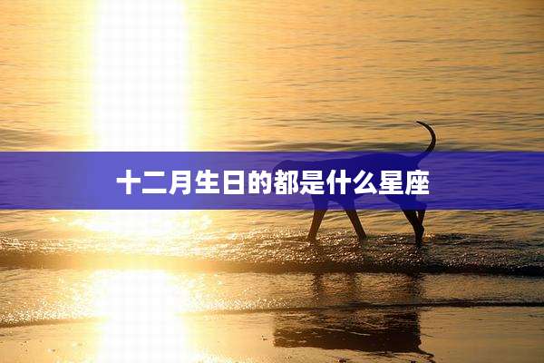 十二月生日的都是什么星座
