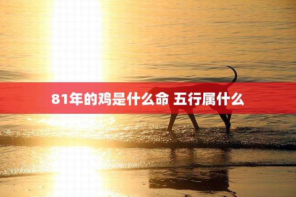 81年的鸡是什么命 五行属什么