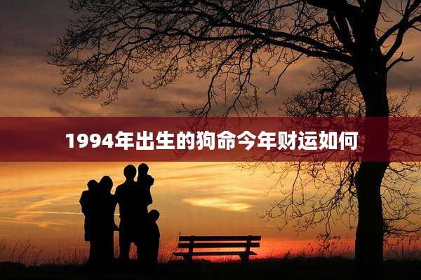 1994年出生的狗命今年财运如何