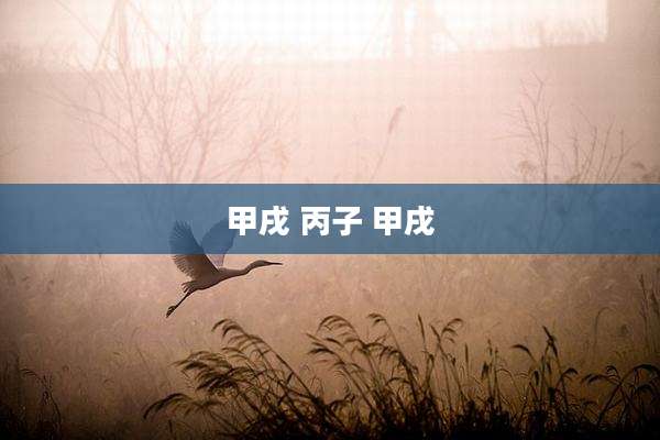 甲戌 丙子 甲戌