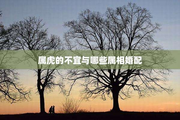 属虎的不宜与哪些属相婚配