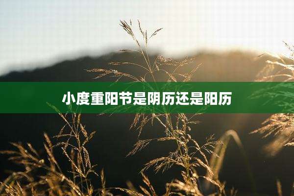 小度重阳节是阴历还是阳历