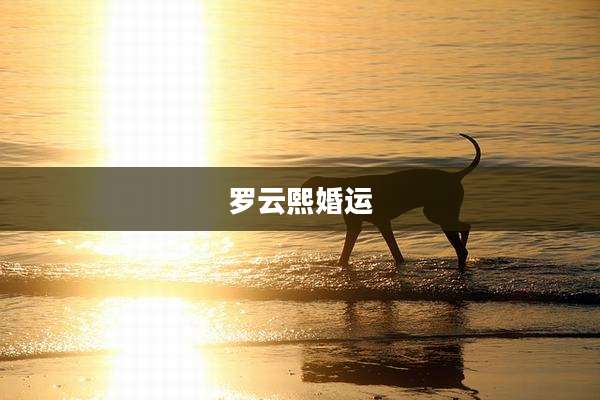 罗云熙婚运