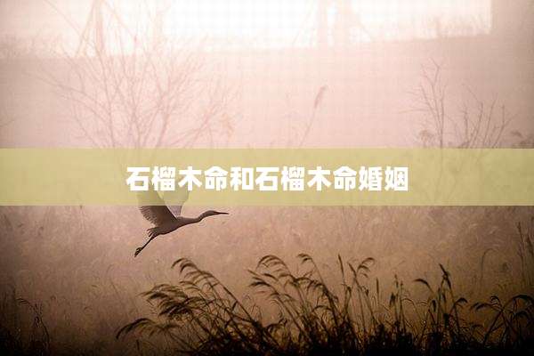 石榴木命和石榴木命婚姻