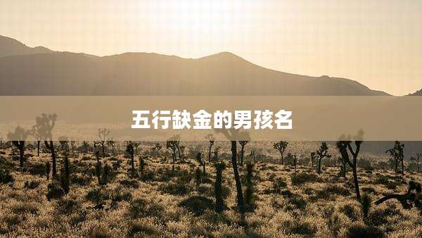 五行缺金的男孩名