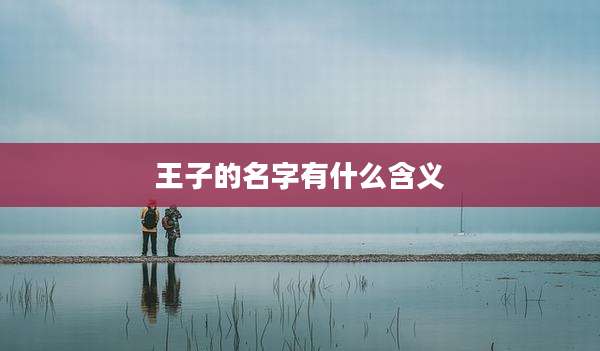 王子的名字有什么含义