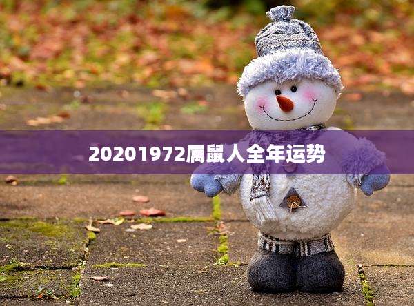 20201972属鼠人全年运势