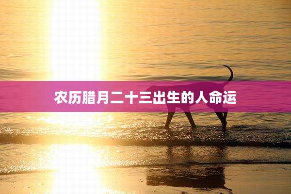 农历腊月二十三出生的人命运
