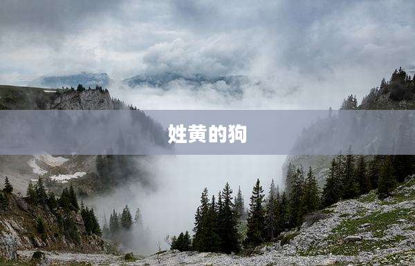 姓黄的狗