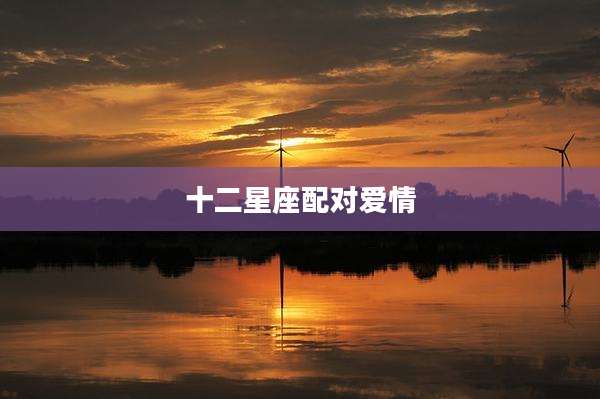 十二星座配对爱情