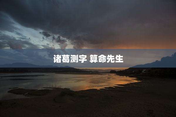 诸葛测字 算命先生