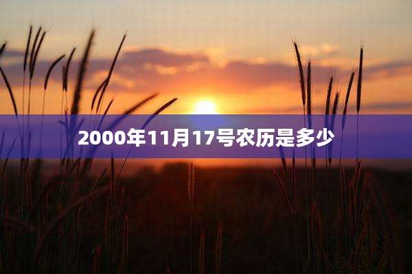 2000年11月17号农历是多少