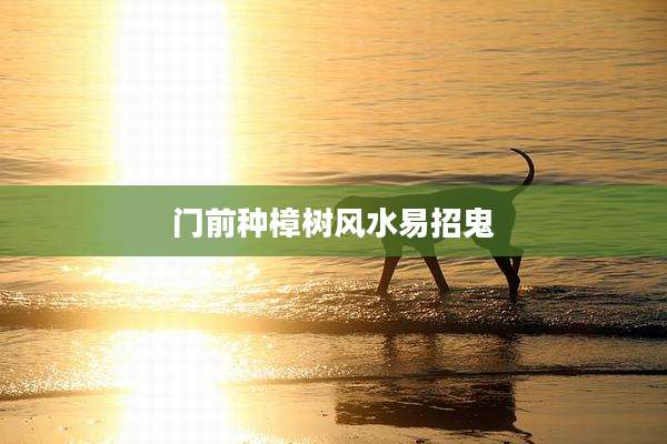 门前种樟树风水易招鬼