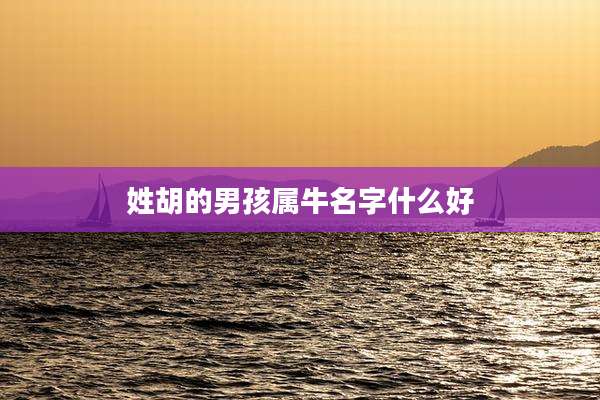 姓胡的男孩属牛名字什么好
