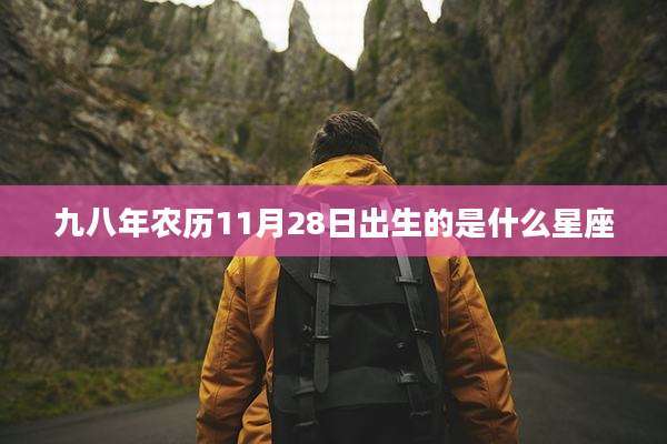 九八年农历11月28日出生的是什么星座