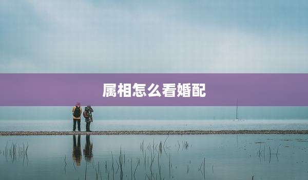 属相怎么看婚配