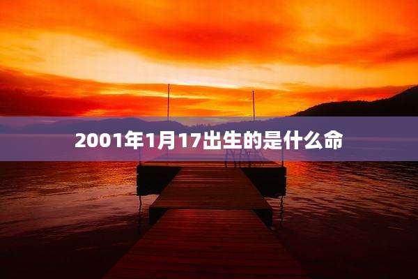 2001年1月17出生的是什么命