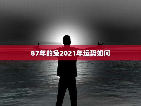 87年的兔2021年运势如何