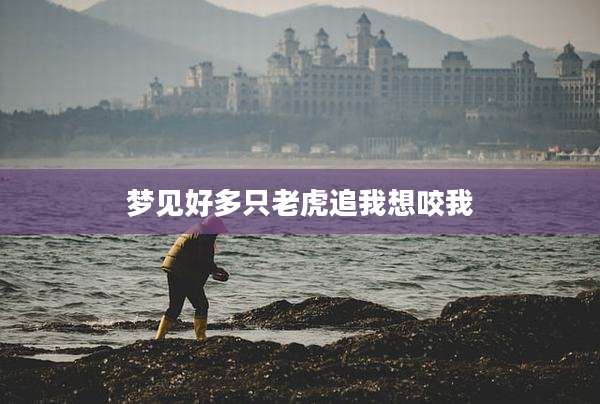 梦见好多只老虎追我想咬我