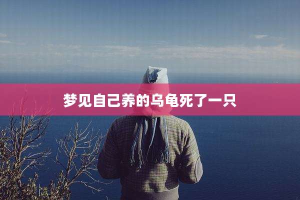 梦见自己养的乌龟死了一只