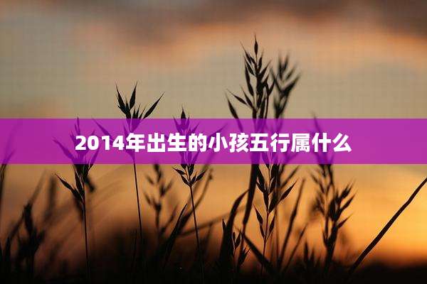 2014年出生的小孩五行属什么