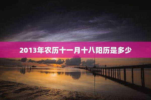 2013年农历十一月十八阳历是多少
