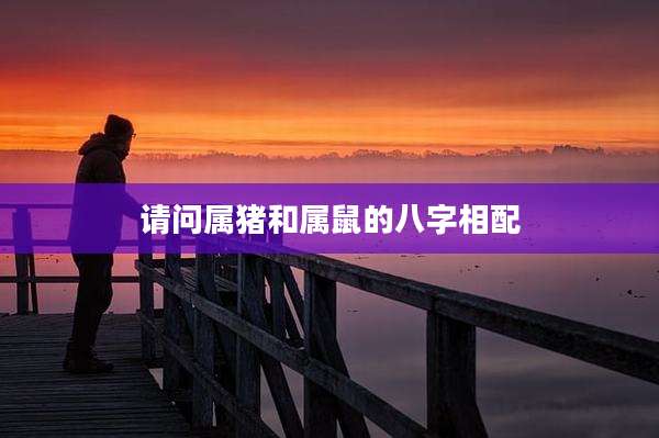 请问属猪和属鼠的八字相配