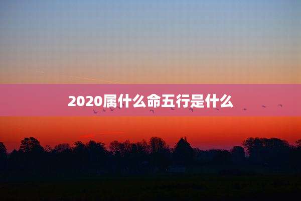 2020属什么命五行是什么