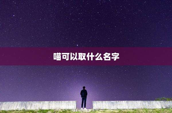 喵可以取什么名字