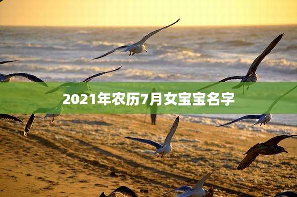 2021年农历7月女宝宝名字