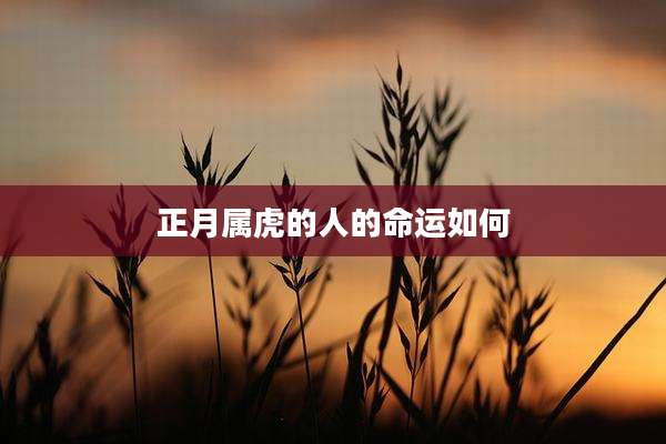 正月属虎的人的命运如何
