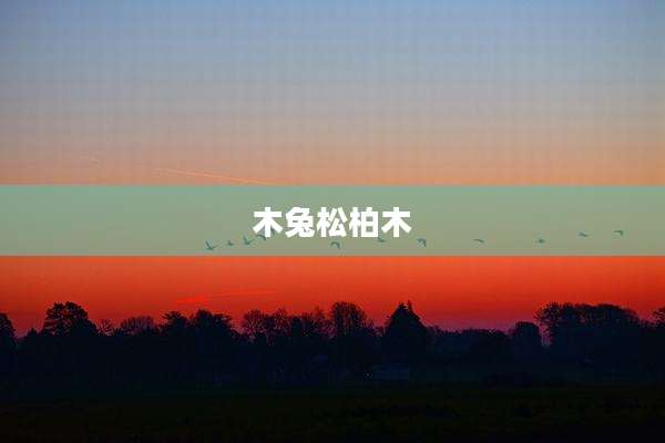 木兔松柏木