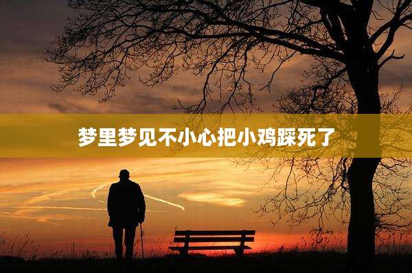梦里梦见不小心把小鸡踩死了