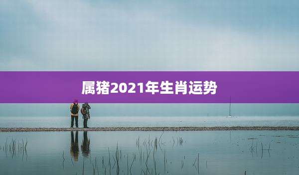 属猪2021年生肖运势
