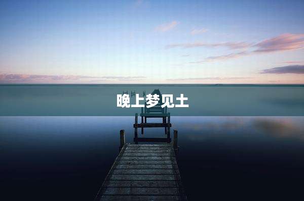 晚上梦见土