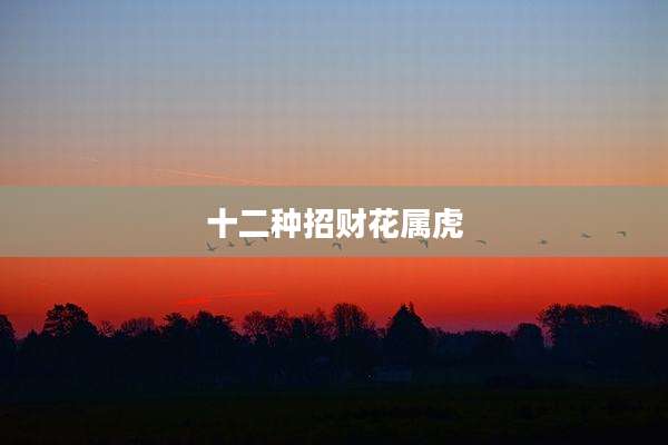 十二种招财花属虎
