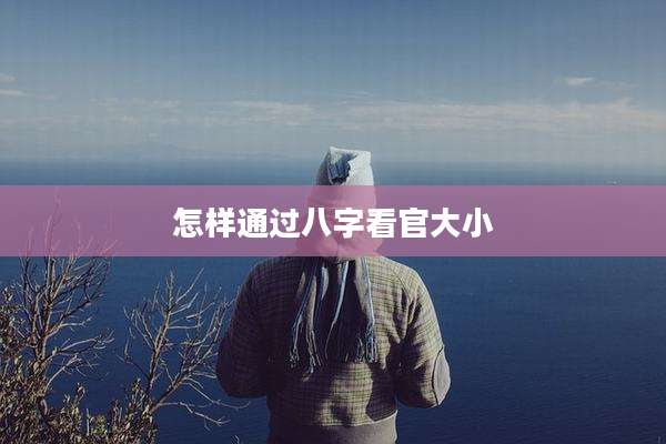怎样通过八字看官大小