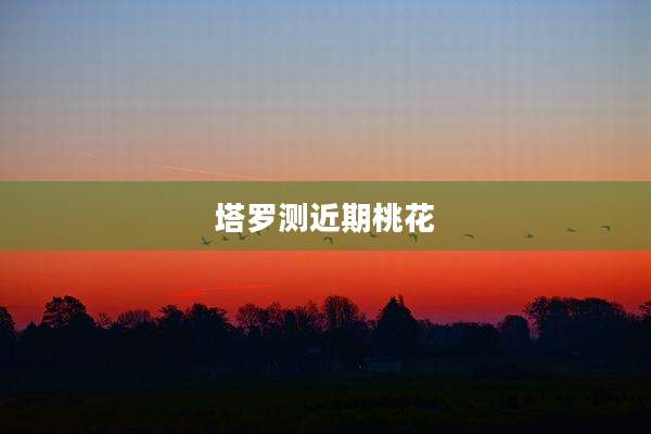 塔罗测近期桃花