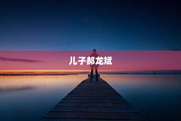 儿子郝龙斌
