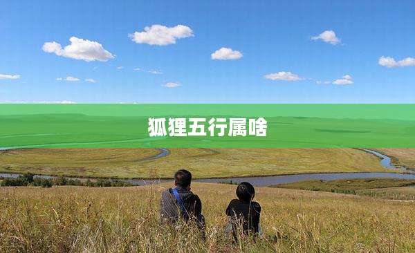 狐狸五行属啥