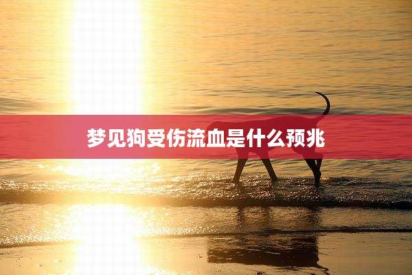 梦见狗受伤流血是什么预兆
