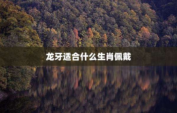 龙牙适合什么生肖佩戴