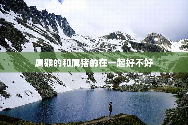 属猴的和属猪的在一起好不好