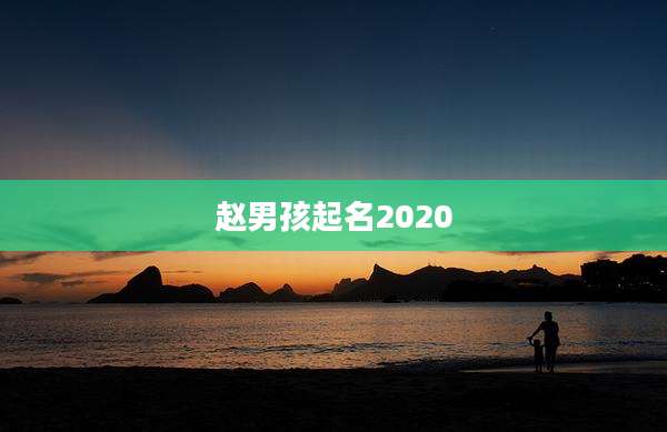赵男孩起名2020